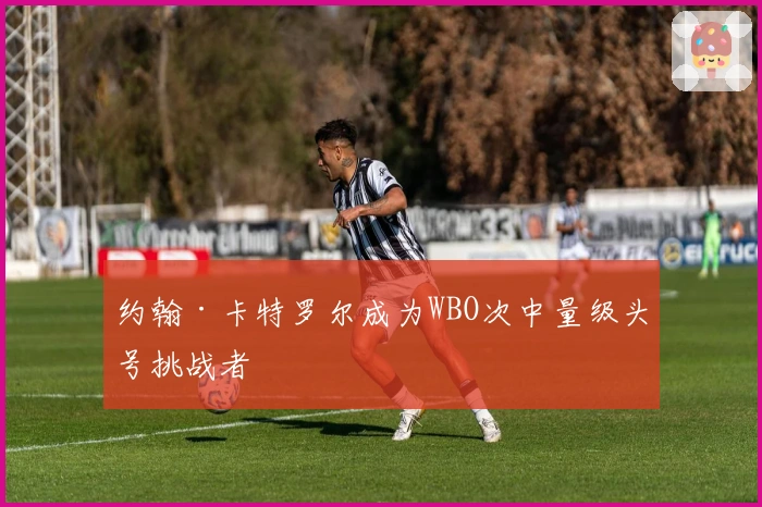 约翰·卡特罗尔成为WBO次中量级头号挑战者